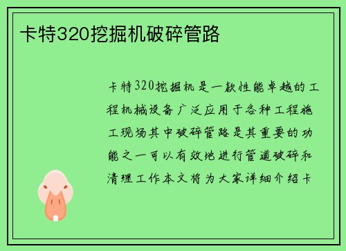 卡特320挖掘机破碎管路